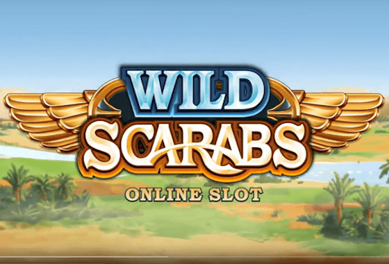 Wild Scarabs