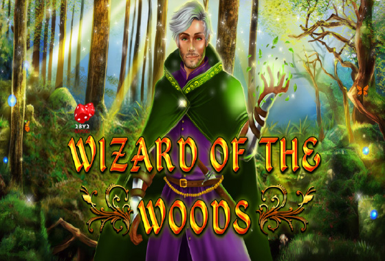 Wizard of the Woods