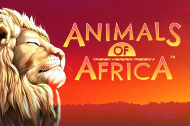 Animals Of Africa