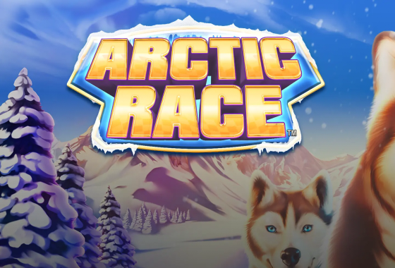 Arctic Race