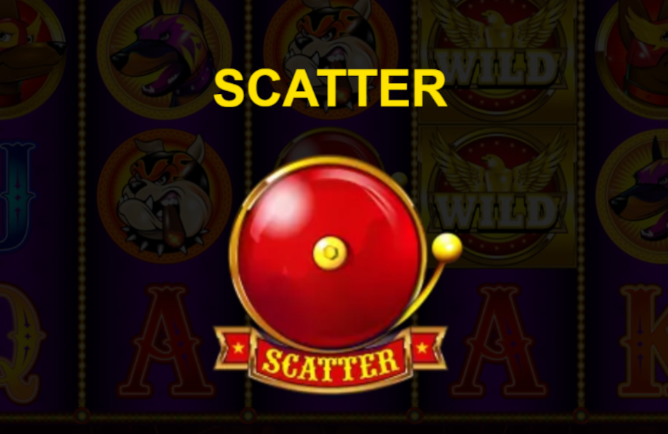 Nuno scatter