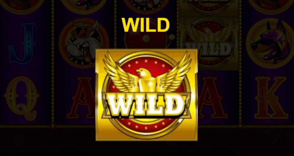 Numero Uno Online Slot  Free Spins + Wild Showdown