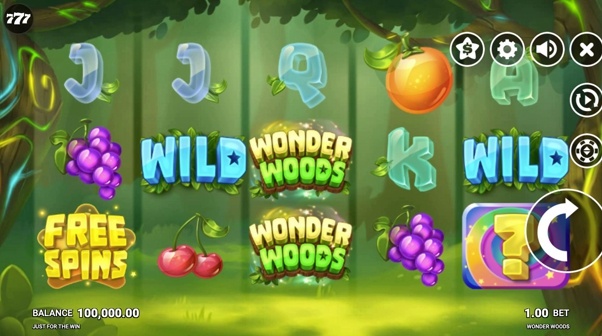 Wonder Woods Slot