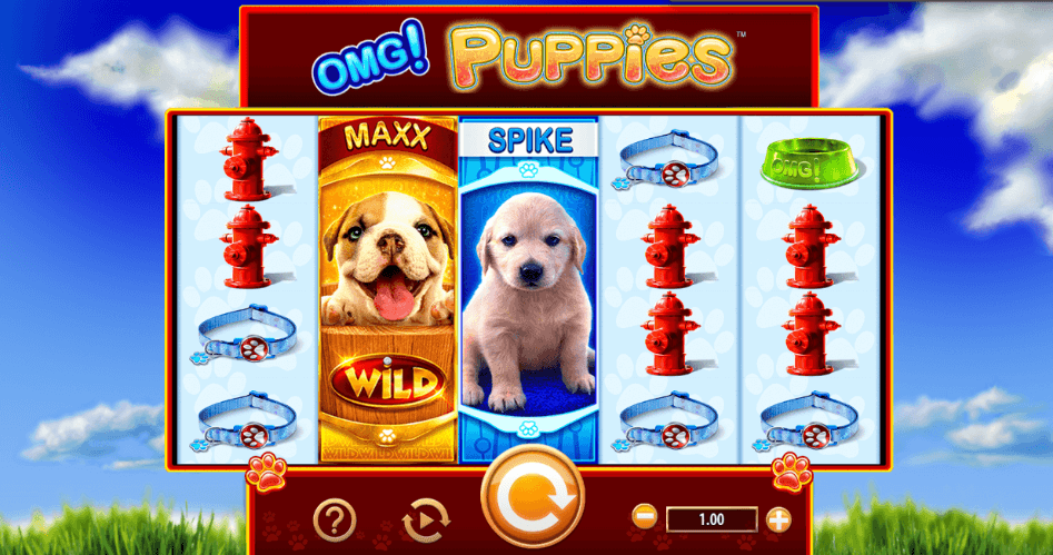 Omg puppies start screen