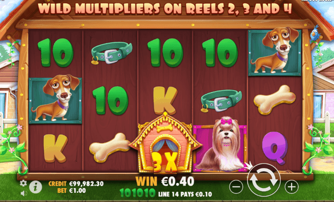 Dog house multiplier wild