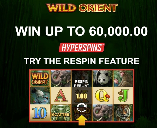 Wild Orient Hyperspins