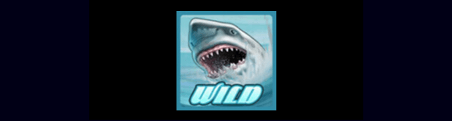 Wild Water wild