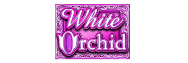 W orchid wild