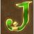 Book of dead jack