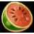 Juicy joker watermelon