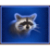 Raccoon