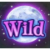 Witches moon wild