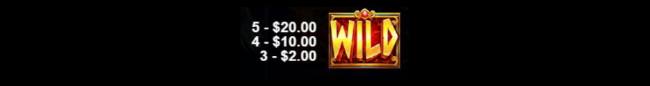 ZVH wild