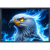 Enchanted wolf eagle