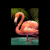 Narcos flamingo