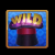 Rabbit wild