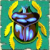 Scarab beetle