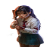 Stake girl