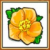 Texas flower