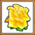 Texas rose