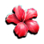 Tropicana hibiscus