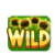 Wild symbol