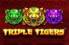 Triple Tigers Online Slot