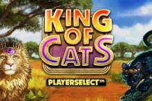 King Of Cats Online Slot