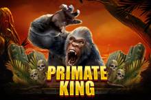 Primate King Online Slot