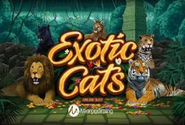 Exotic Cats Online Slot