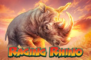 Raging Rhino Online Slot