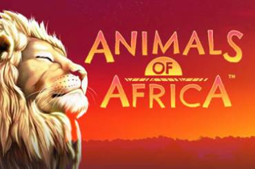 Animals Of Africa Online Slot