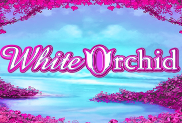 White Orchid Online Slot