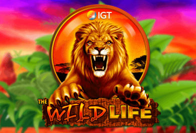 The Wild Life Online Slot